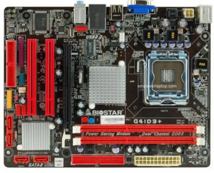 Placa base Biostar G41 D3+ G41 LGA 775