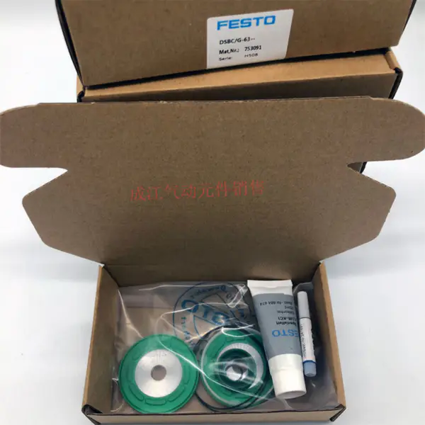 Kit de juntas neumáticas de Festo dfm-20-80 170920 f108 753088 DSBC/G- 32